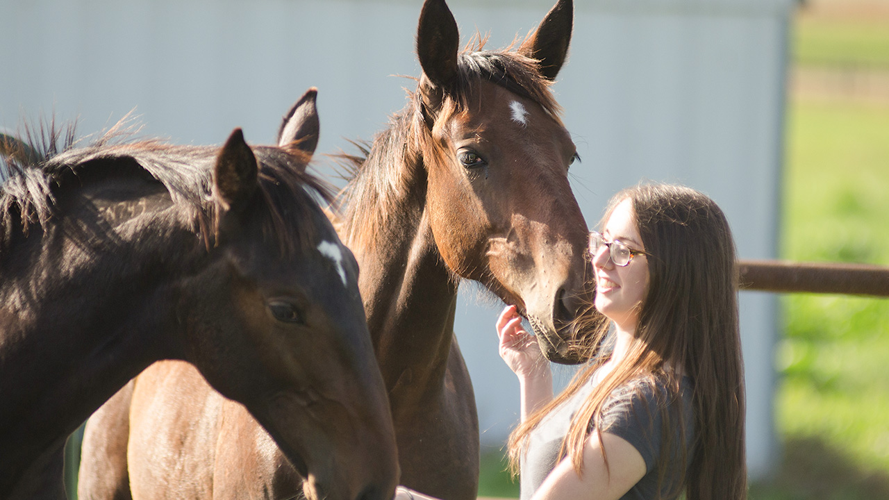 Student tends to a horse on the farm.