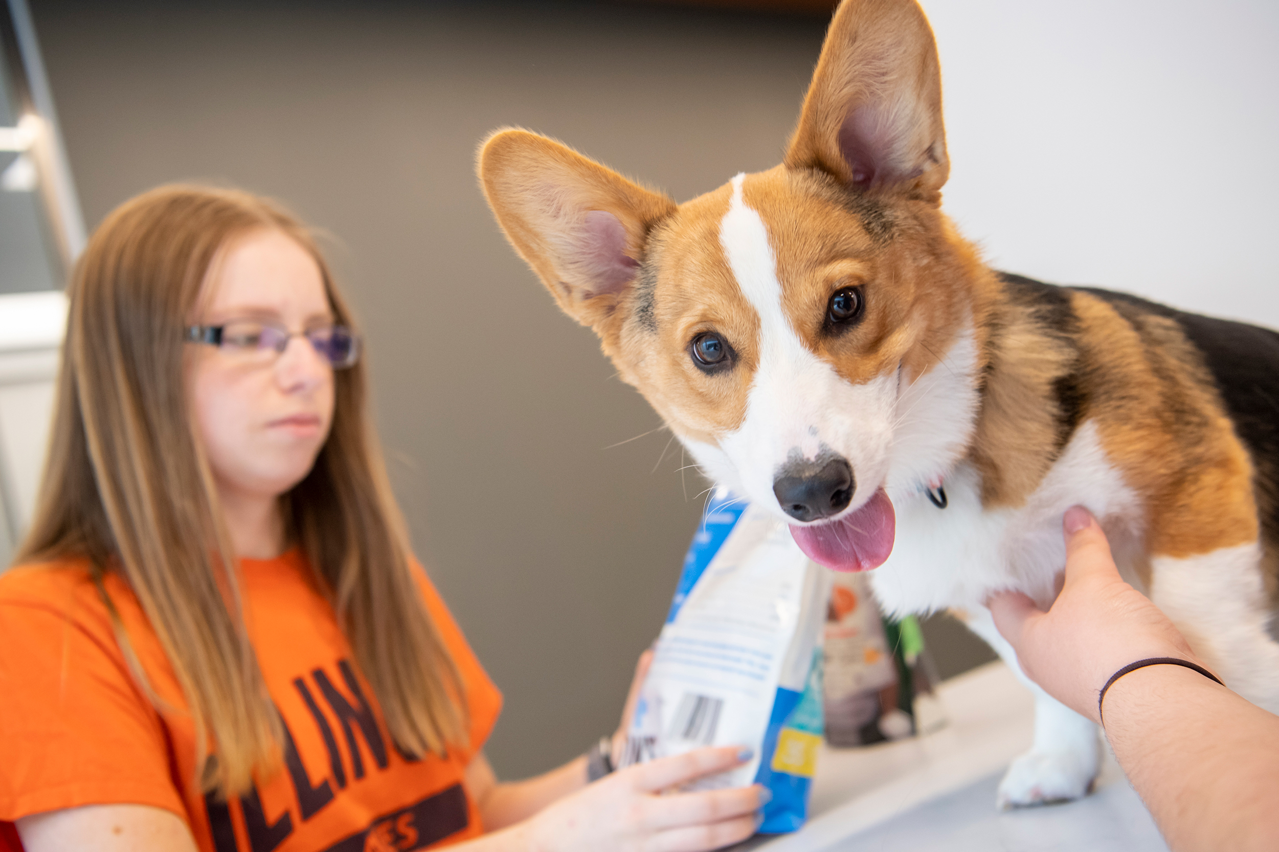 Dog with student looking at petfood label.