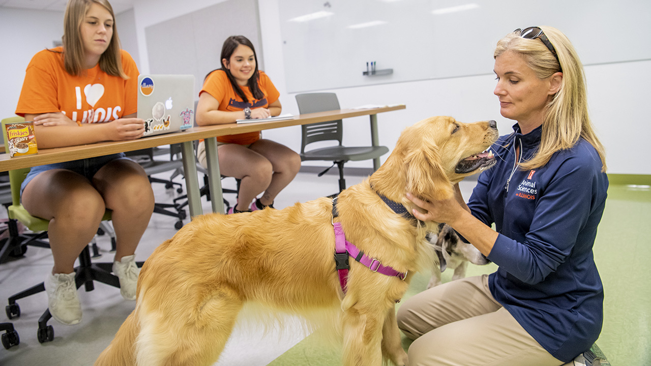 Companion Animal Nutrition Certificate for Nonstudents | Animal Sciences |  UIUC
