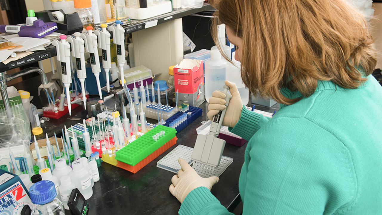 PhD student working with test tubes in laboratory.