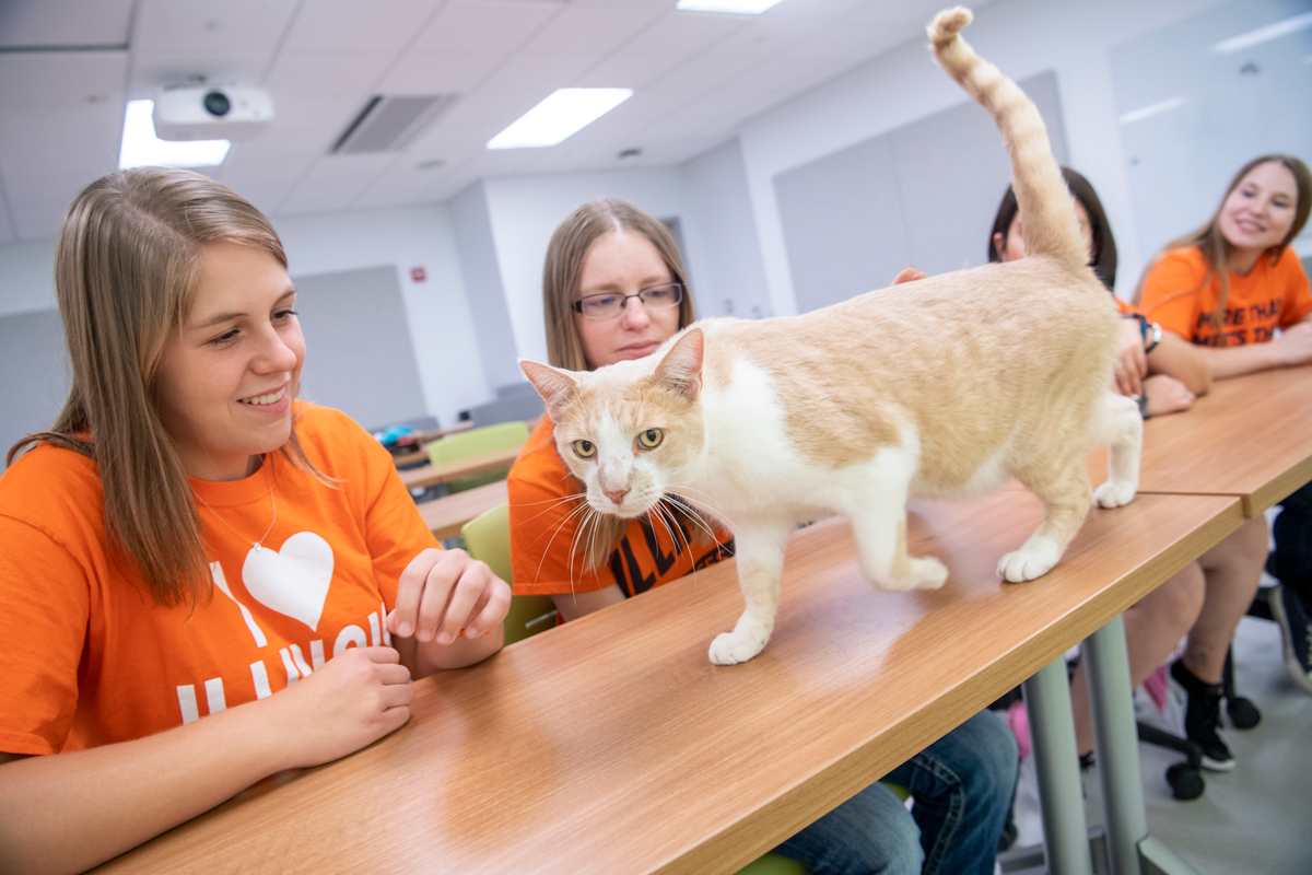 Students with cat.