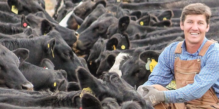 Man outside with many cows at Dixon Springs Agricultural Center