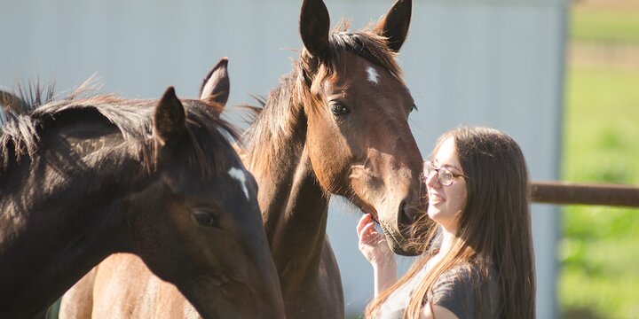 Girl grooming horses outside.