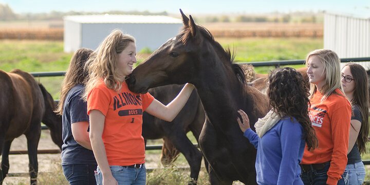Students interacting with a horse.