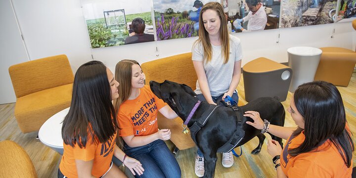Group of undergraduate students surrounding a black labradoodle dog