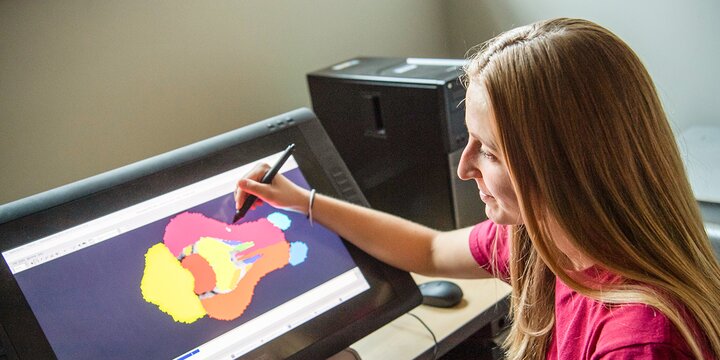 Bioninformatics student working on animal anatomy on a computer.