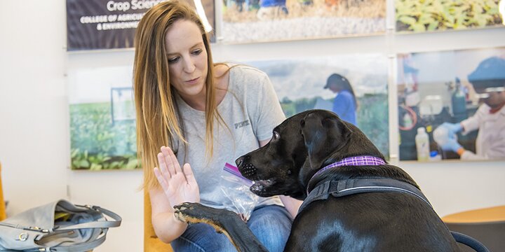 Graduate student with dog