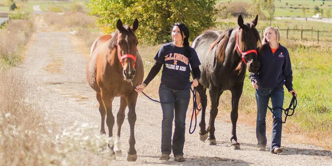 Two students walking horses.