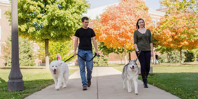 Students walking dogs on campus.
