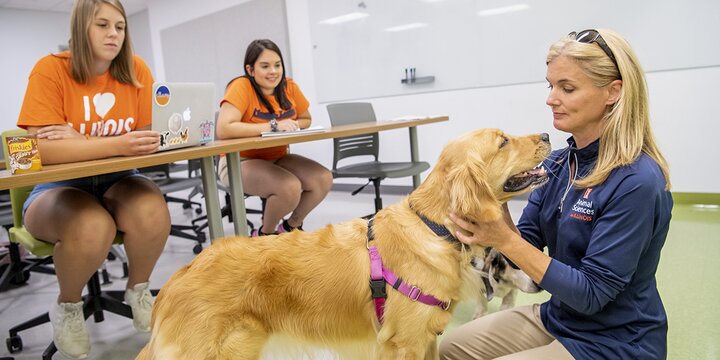 Professor with students and golden retriever dog in classroom