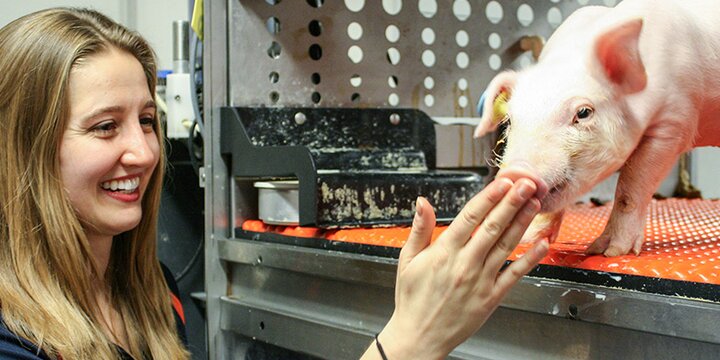 A students holds her hand up to the snout of a piglet