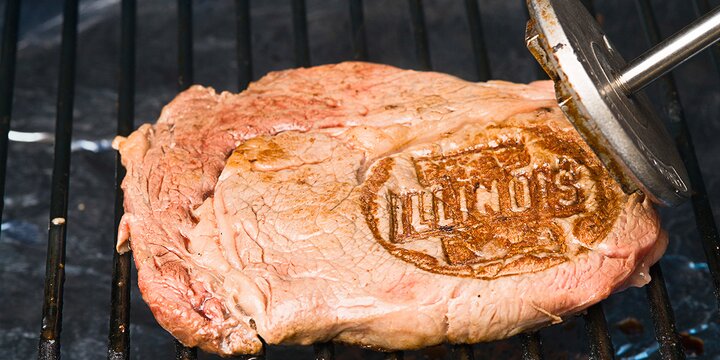 Grilled steak with the University of Illinois brand