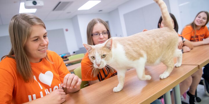 Students with cat