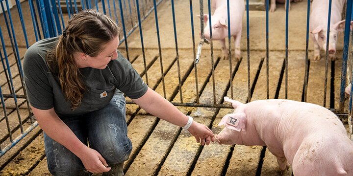 Student with piglet at Swine Research Center.