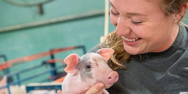 A student holds a piglet at Swine Research Center