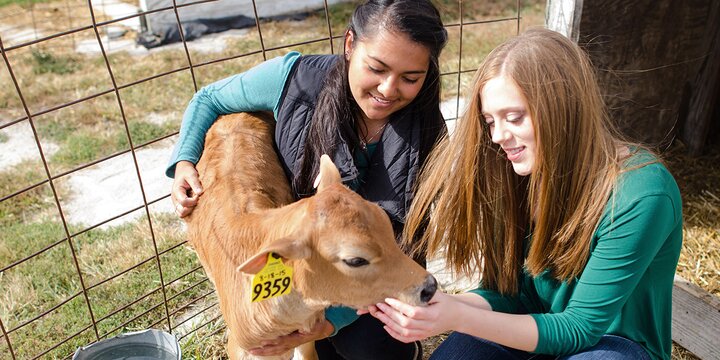 Undergraduate Degrees | Animal Sciences | UIUC Undergraduate Degrees | Animal Sciences | UIUC
