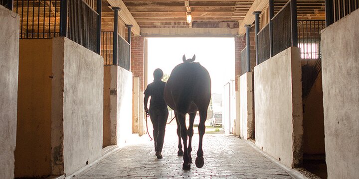 Silhouette of a student walking a horse out of the stable