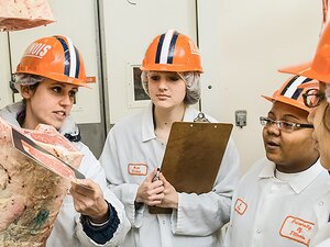 Meat Science students studying a piece of meat.